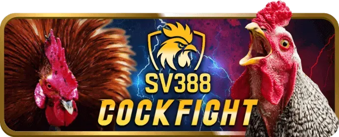 Ưu đãi độc quyền 100win casino