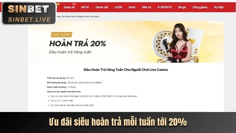 Các cấp độ VIP và phần thưởng độc quyền
